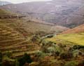 douro05 copie