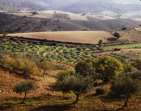 douro04 copie