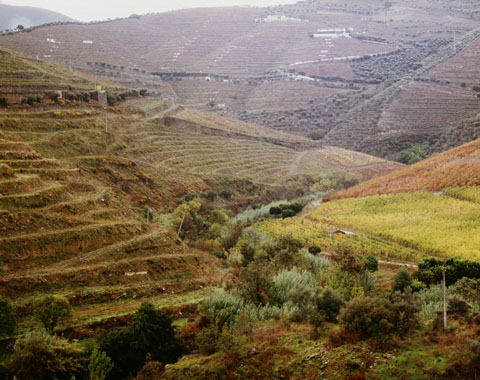 douro05 copie