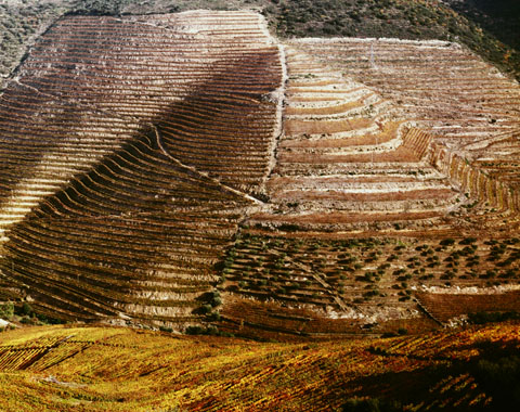 douro08 copie